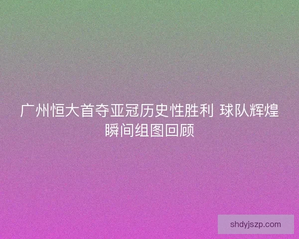 广州恒大首夺亚冠历史性胜利 球队辉煌瞬间组图回顾